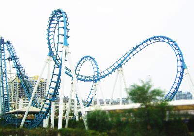 Cobra Roller Coaster