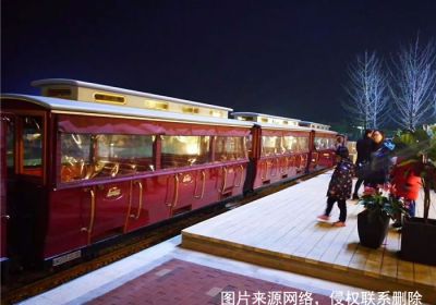 Sightseeing Train